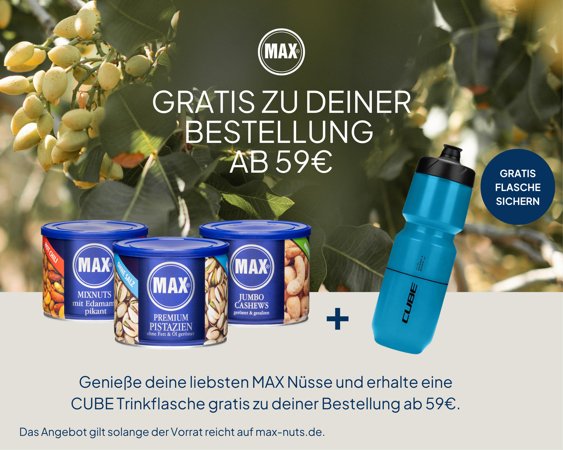 MAX KIENE GmbH